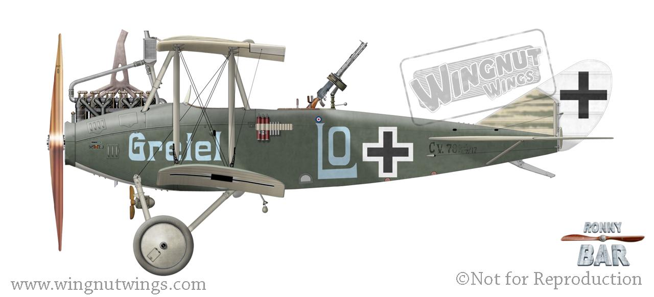 【希少】WingnutWings DFW C.V Late Production Wingnut Wings 1/32 DFW C.V Late Production | Large Scale Planes